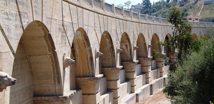 Intricate dam structure